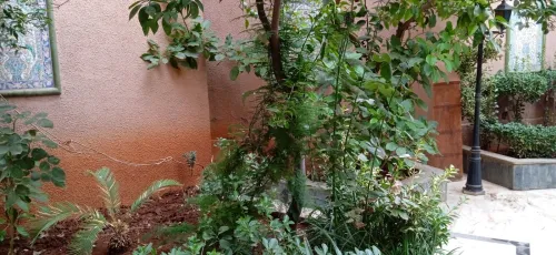 Vente Villa Tlemcen Tlemcen