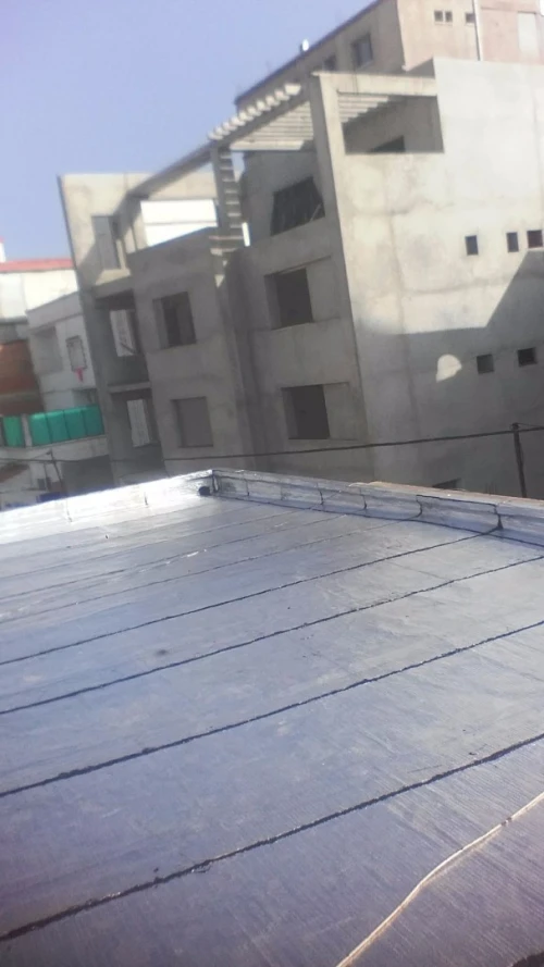 تغليف وتزفيت السطوح والقرميد 