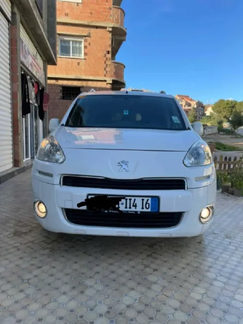 Peugeot Partner 2014 Partner