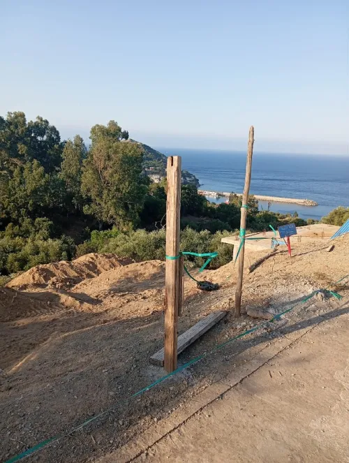 Vente Terrain Skikda Collo