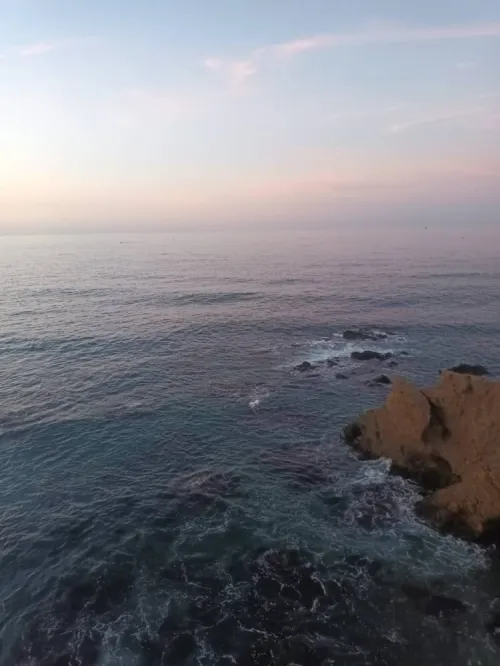 Location Niveau De Villa F3 Alger Ain benian