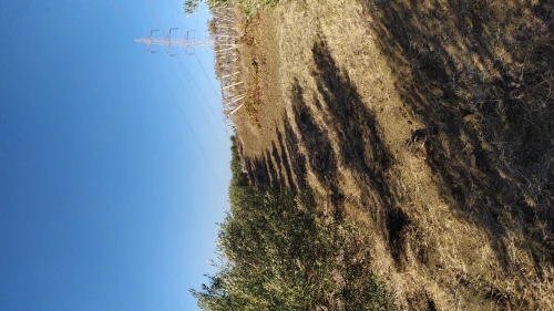 Vente Terrain Agricole Boumerdès Zemmouri