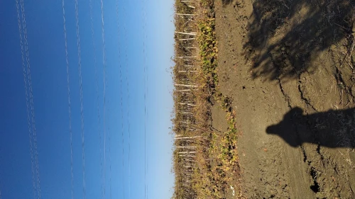 Vente Terrain Agricole Boumerdès Zemmouri