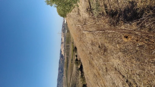 Vente Terrain Agricole Boumerdès Zemmouri