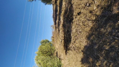 Vente Terrain Agricole Boumerdès Zemmouri