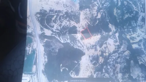 Vente Terrain Tipaza Menaceur
