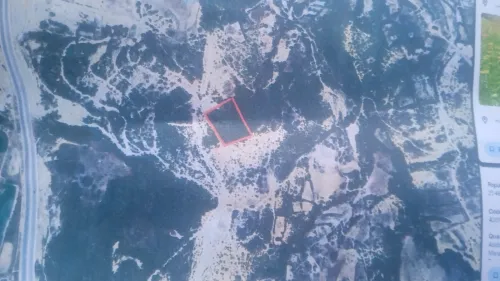 Vente Terrain Tipaza Menaceur