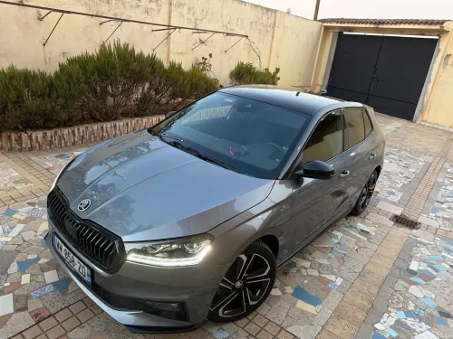 Skoda Fabia 2023 Monte carlo