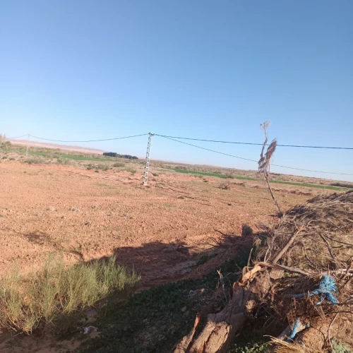 Vente Terrain Laghouat Sidi makhlouf