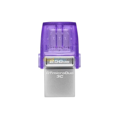 KINGSTON DATATRAVELER MICRODUO 3C 256GB - FLASH DISQUE 256GB - USB-A + USB-C - TRANSFERT RAPIDE 200 MB/S