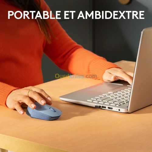 LOGITECH M171 WIRELESS MOUSE - SOURIS SANS FIL - AMBIDEXTRE - USB 2.4 GHZ - CAPTEUR OPTIQUE - 3 BOUTONS - BLEU & GRIS