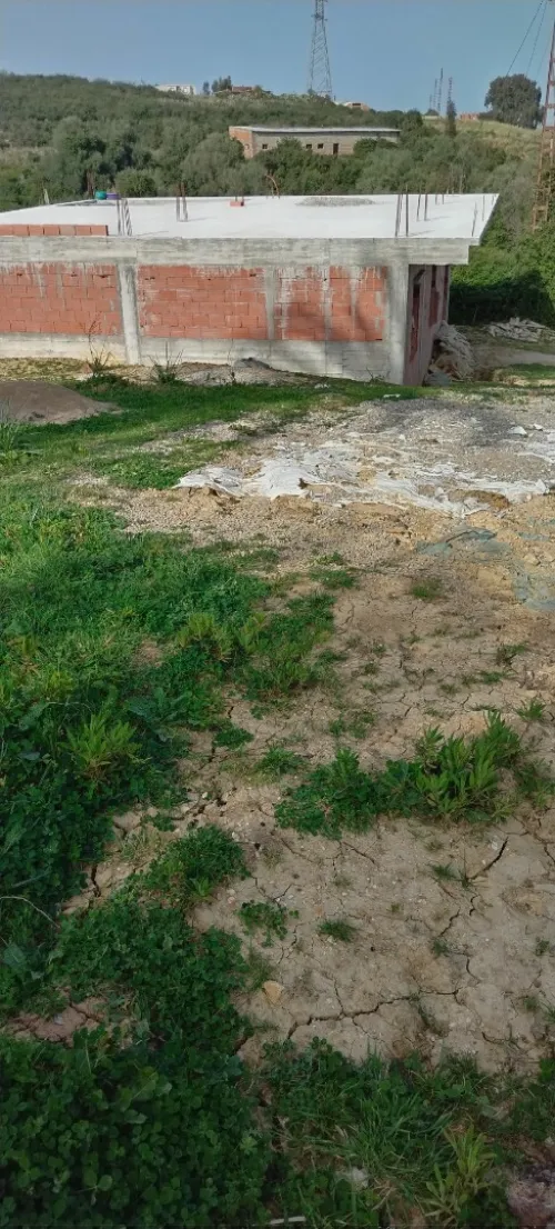 Vente Terrain Jijel Kaous
