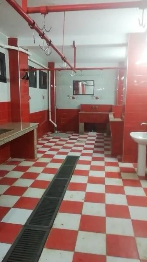 Location Appartement F4 Sidi Bel Abbès Sidi bel abbes