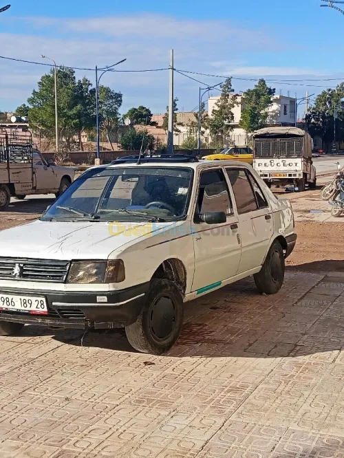 Peugeot 309 1989 309