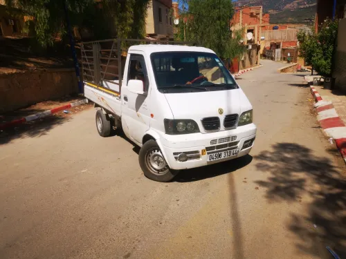 DFSK Mini truck 2013