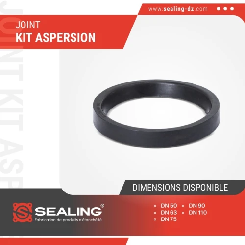 JOINT DE KIT ASPERSION