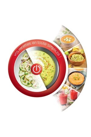 Bras mixeur MOULINEX MOULINEX EASYCHEF 