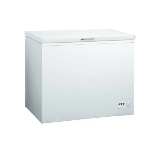 CONGÉLATEUR MIDEA HS-252C 260 LITRES