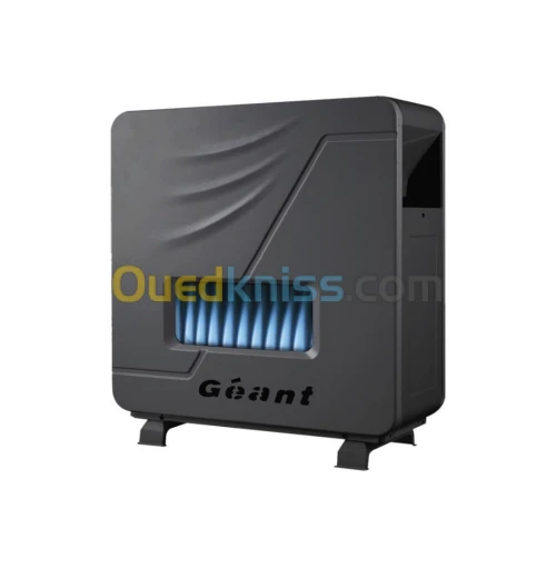 Rgn GEANT 11KW Avec détecteur 