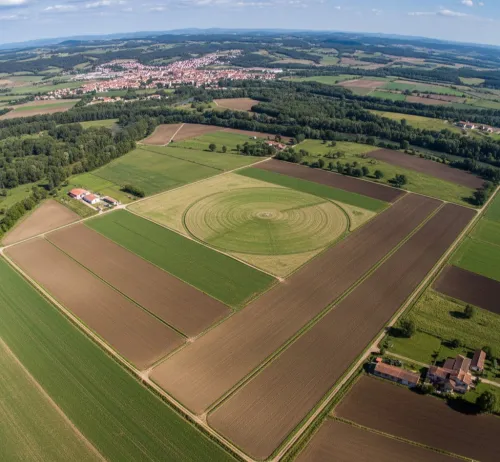 Vente Terrain Agricole Chlef Beni rached