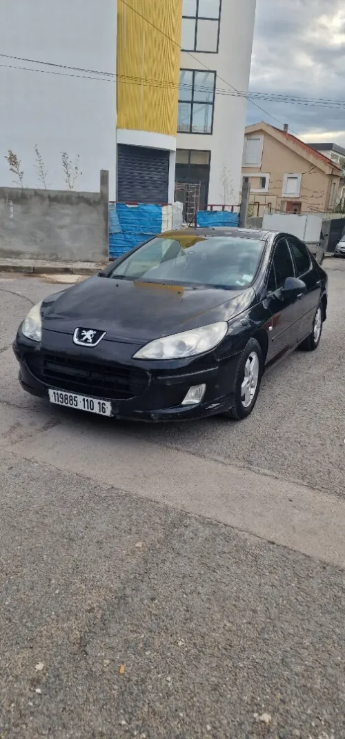 Peugeot 407 2010 407