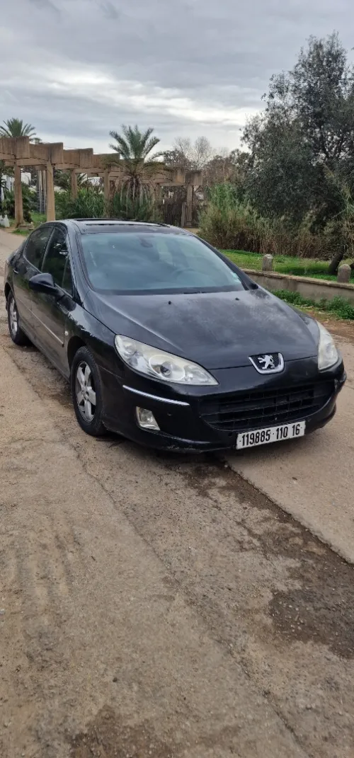 Peugeot 407 2010 407
