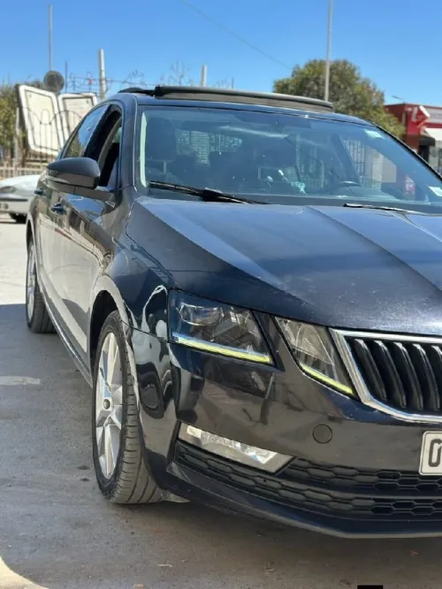 Skoda Octavia 2019 Octavia