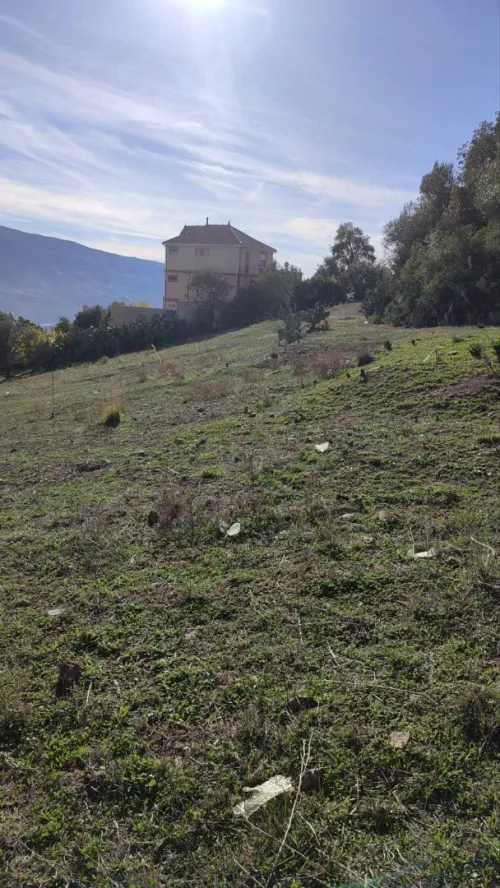 Vente Terrain Béjaïa Ifenain ilmathen