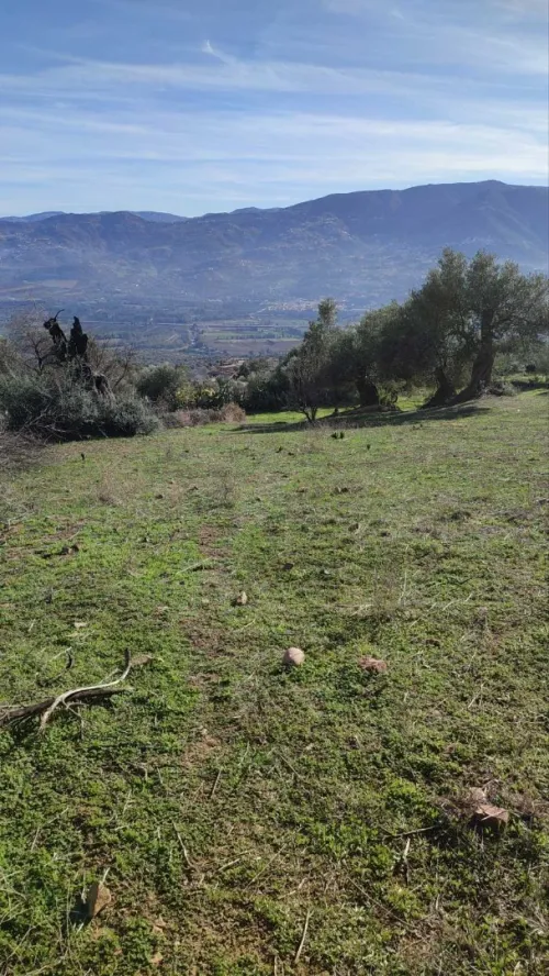 Vente Terrain Béjaïa Ifenain ilmathen