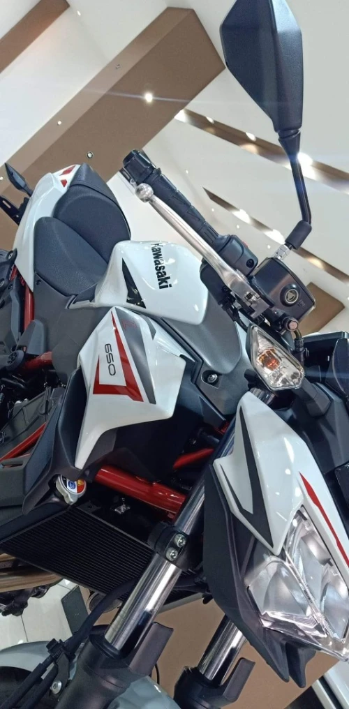 Kawasaki Z650 2022