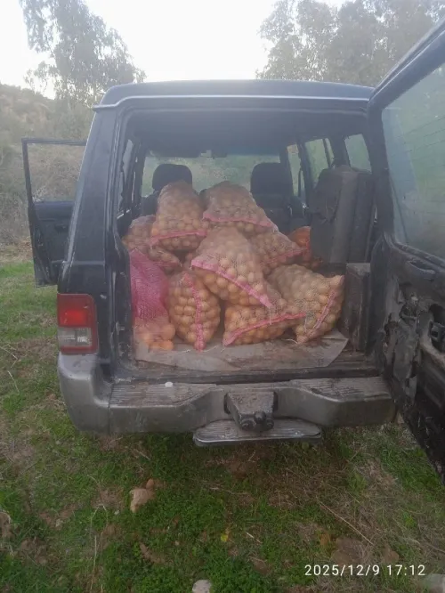 Vente Terrain Agricole Aïn Defla Ain benian 6