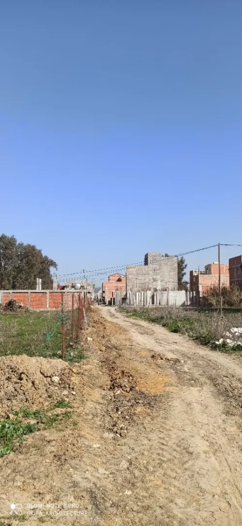 Vente Terrain Alger Tessala el merdja