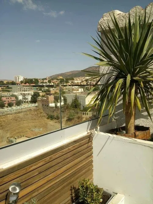 Balcons à panneaux en verre / en acier inox