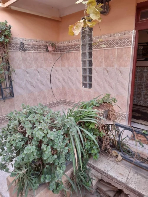 Vente Villa Naama Mecheria
