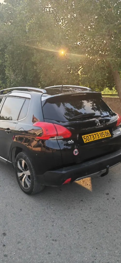 Peugeot 2008 2015 Erg