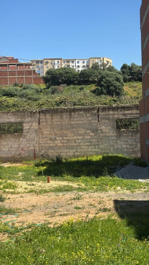 Vente Terrain Tipaza Kolea
