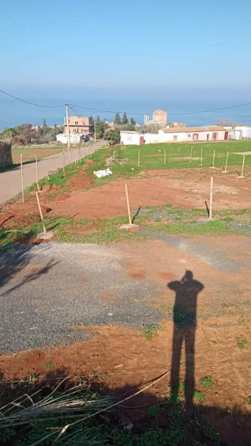 Vente Terrain Tipaza Ain tagourait