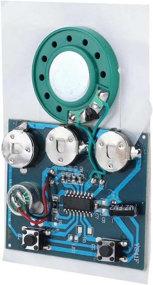 Arduino - Module Audio Vocal Musique Enregistrable