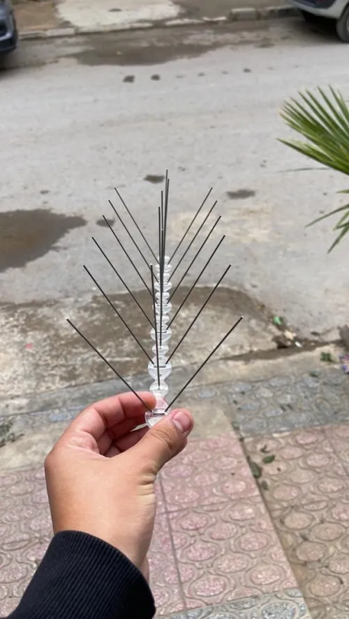 Ecopic Pigeons الحمام pic anti pigeons مكافحة الحمام