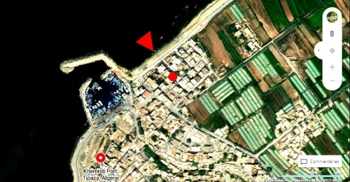 Vente Terrain Tipaza Bou ismail