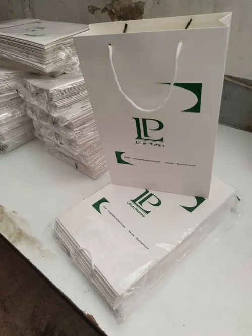sac en carton (dimensions , quantités a partir du 100 , couleurs disponibles , qualité garantie 100%