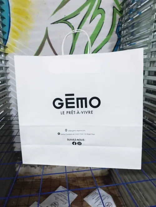 sac en carton (dimensions , quantités a partir du 100 , couleurs disponibles , qualité garantie 100%