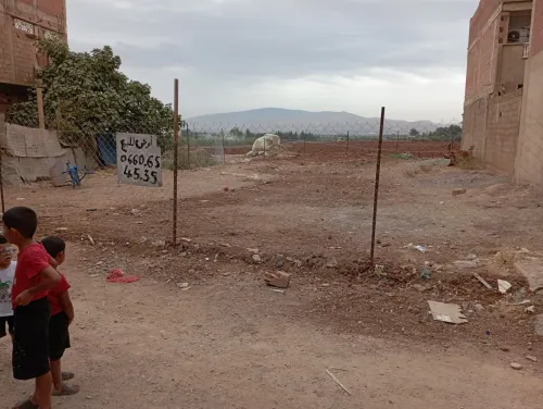 Vente Terrain Aïn Defla El attaf