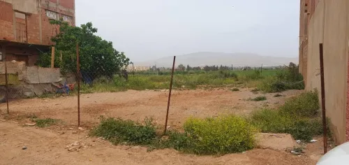 Vente Terrain Aïn Defla El attaf