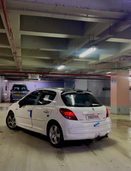 Peugeot 207 2010 Allure