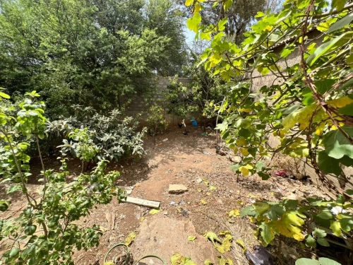 Vente Villa Alger Bouzareah