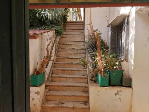 Vente Terrain Alger Rais hamidou