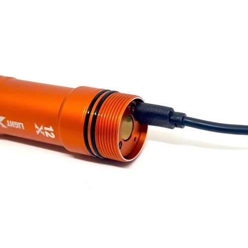 Lampe Puissante X 12 BERSUB