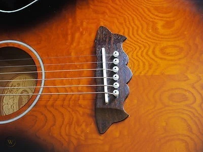 guitare washburn wshaGPAKQTTB