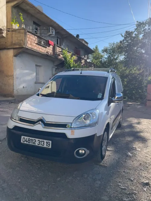 Citroen Berlingo 2013 Berlingo